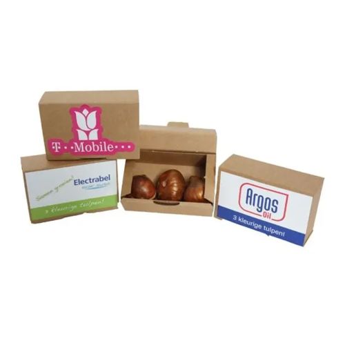 Kraft box with flower bulbs - Image 2